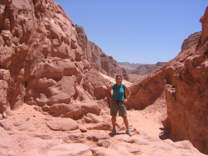 Sinai Grand Safari St. Catherine, Colored Canyon, Nuweiba, and Dahab