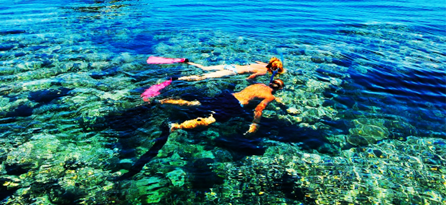 Ras Mohamed Red Sea Cruise and Snorkeling by Boat