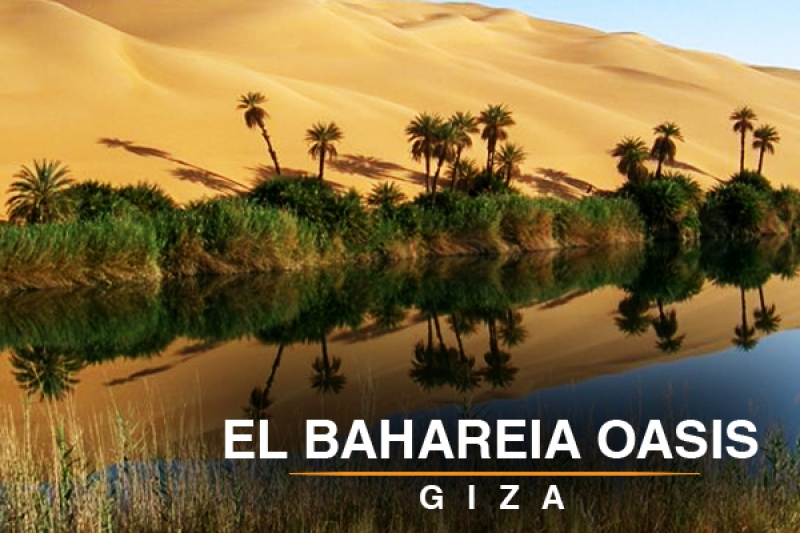 El baharya  oasis