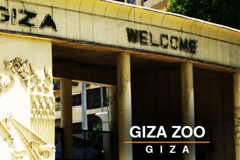Giza zoo