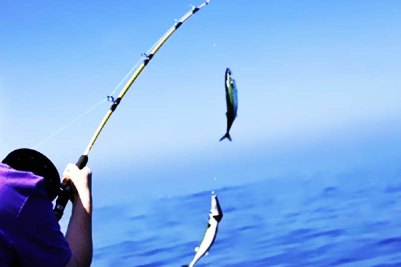 Private Fishing Tour in Hurghada by Boat